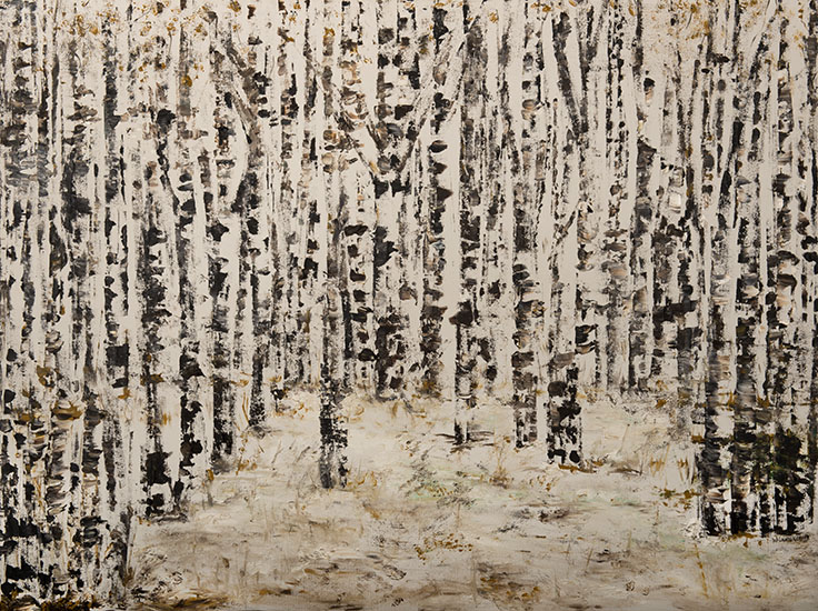 Walk in the Forest